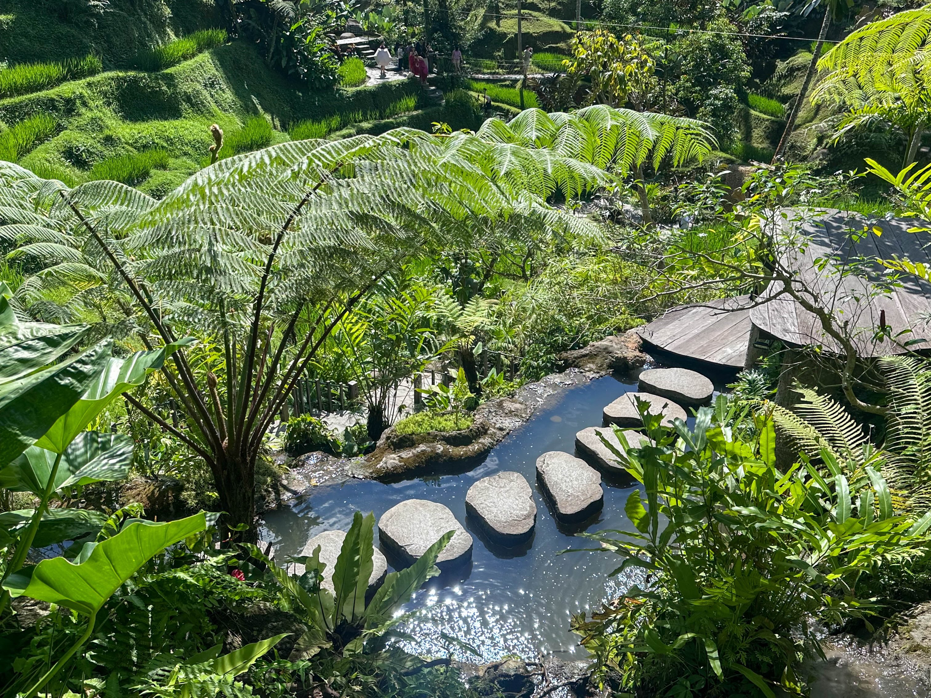 Landscape photograph